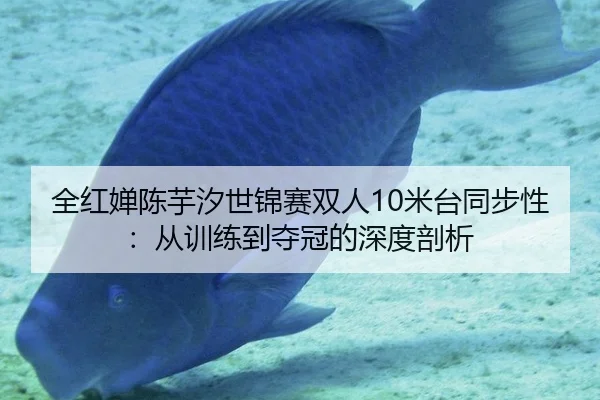 全红婵陈芋汐世锦赛双人10米台同步性：从训练到夺冠的深度剖析